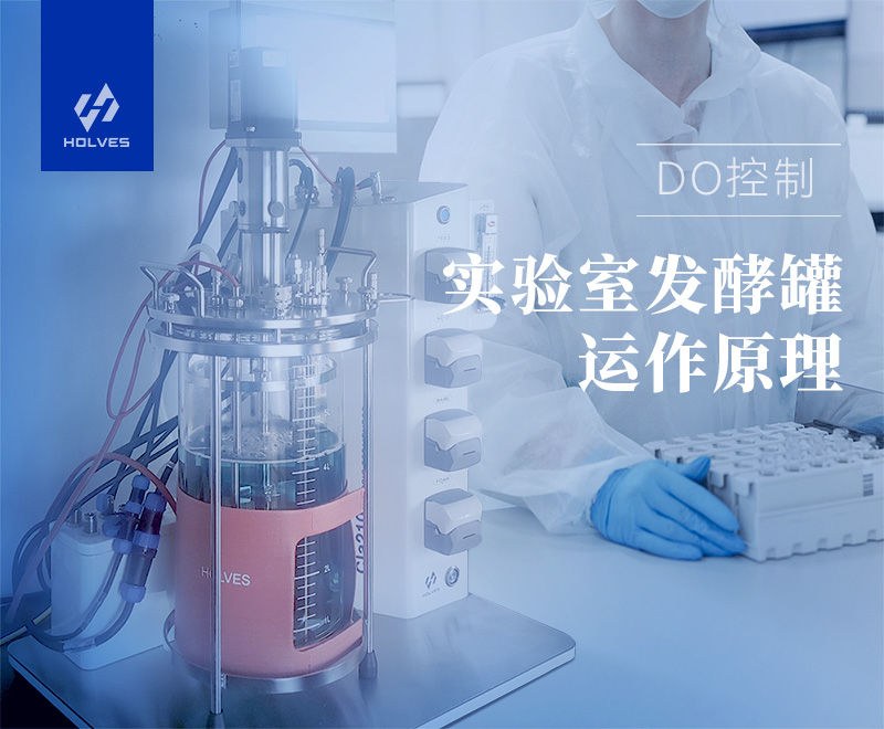 實驗室香蕉黄片APP下载 實驗室香蕉黄片APP下载