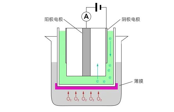 溶氧電極原理 溶氧電極原理