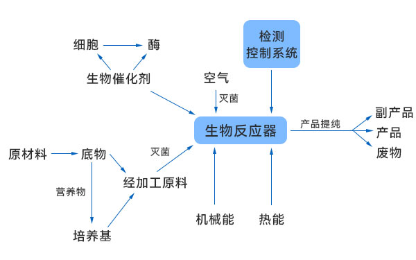 一般生物技術生產過程示意圖