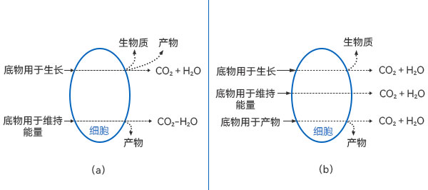 底物消耗的質量衡算圖