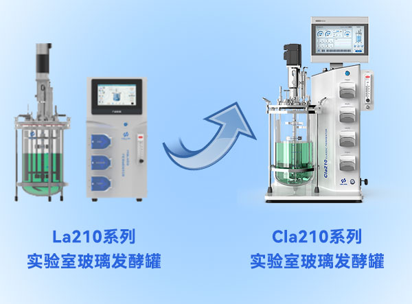 香蕉视频污视频香蕉黄片APP下载升級